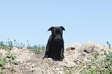 STAFFIE 045
